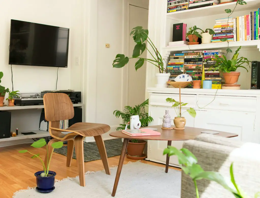 cute apartment with plants